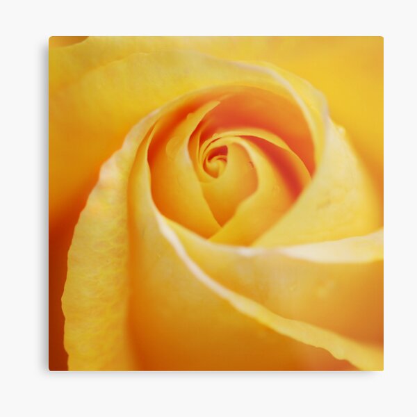 perfection Metal Print