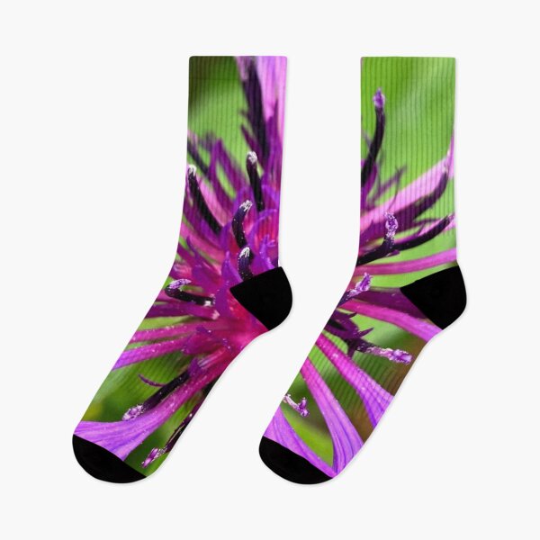 Item preview, Purple Wildflower Nature Photo Design designed and sold by TacoRose.