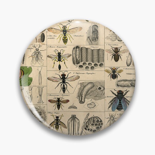 Item preview, Bee Wasp Insect History Nature Bees illustration Antique Art designed and sold by antiqueart.