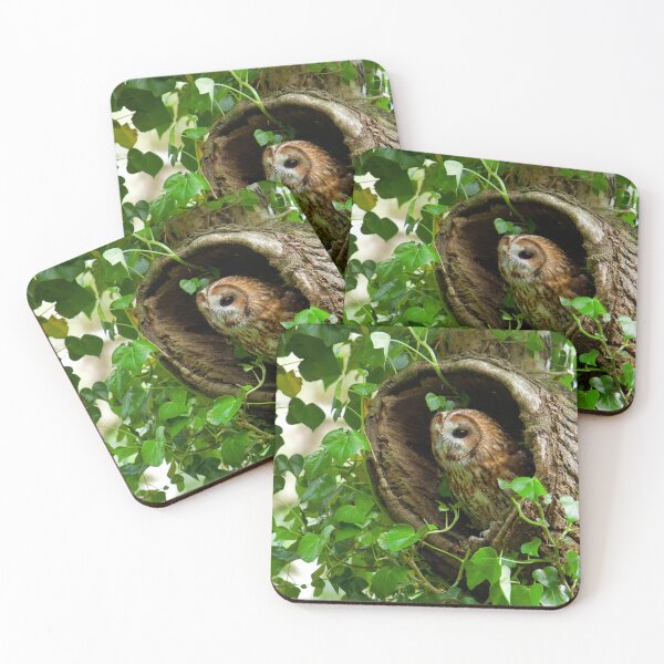 Item preview, Tawny owl sitting in old tree designed and sold by Dalyndigital Photography.