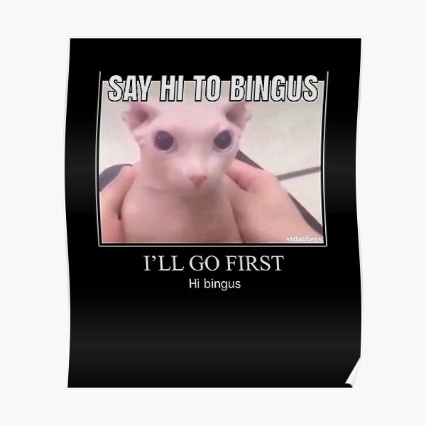 Bingus Meme Bingus Cat Bingus Bingus My Beloved Poster For Sale By Prestiges Redbubble 2877