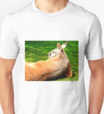 Lounging Kangaroo Unisex T-Shirt