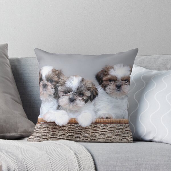Item preview, Three Cute Shih Tzu Puppies in Wicker Basket designed and sold by cgroenewald.