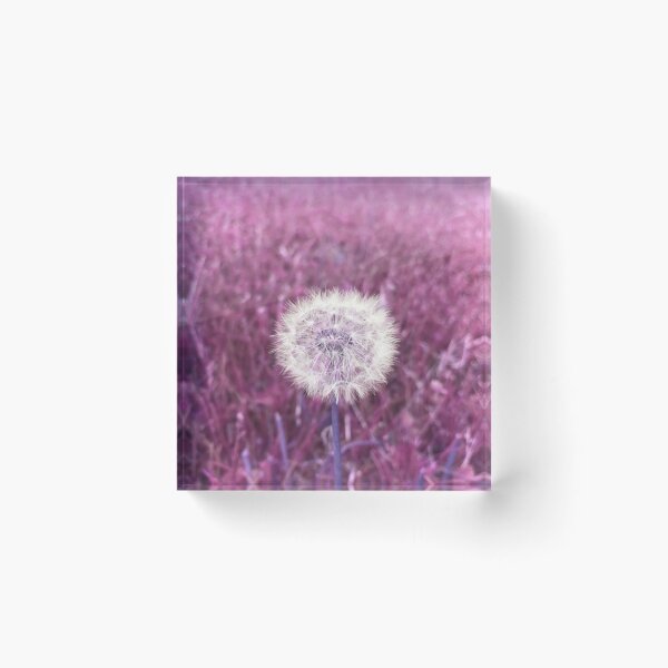 Item preview, Dandelion Puff in Pink designed and sold by SunshineWalker.