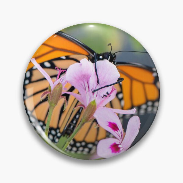 Item preview, monarch butterfly, "hang on" designed and sold by sarahjeanphoto.