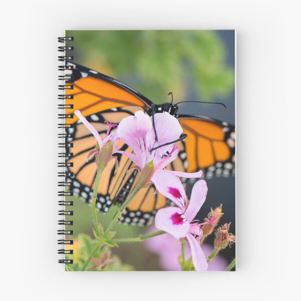 Item preview, monarch butterfly, "hang on" designed and sold by sarahjeanphoto.