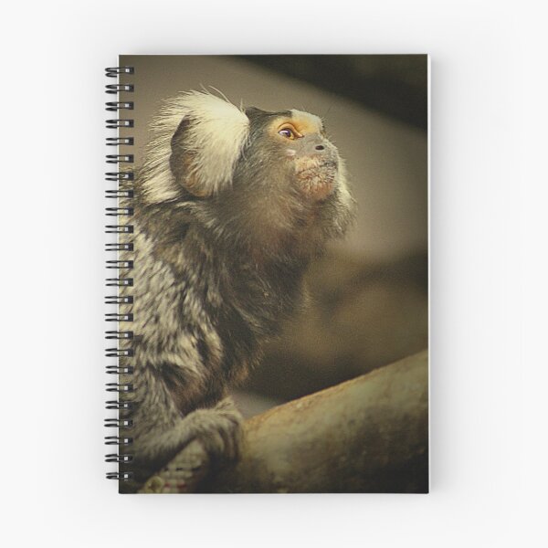 Item preview, Common Marmoset designed and sold by Ladymoose.