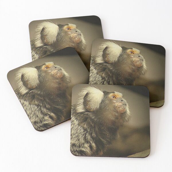 Item preview, Common Marmoset designed and sold by Ladymoose.