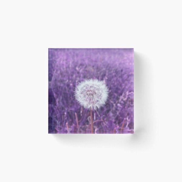Item preview, Dandelion Puff in Purple designed and sold by SunshineWalker.