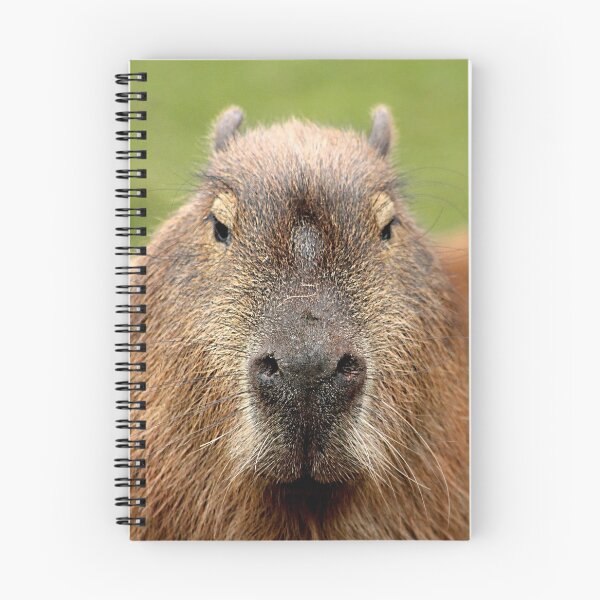 Item preview, Portrait of a rather handsome capybara designed and sold by Ladymoose.