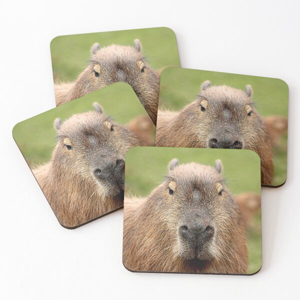 Item preview, Portrait of a rather handsome capybara designed and sold by Ladymoose.