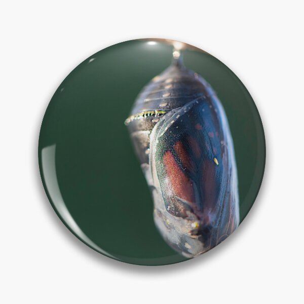 Item preview, monarch chrysalis designed and sold by sarahjeanphoto.