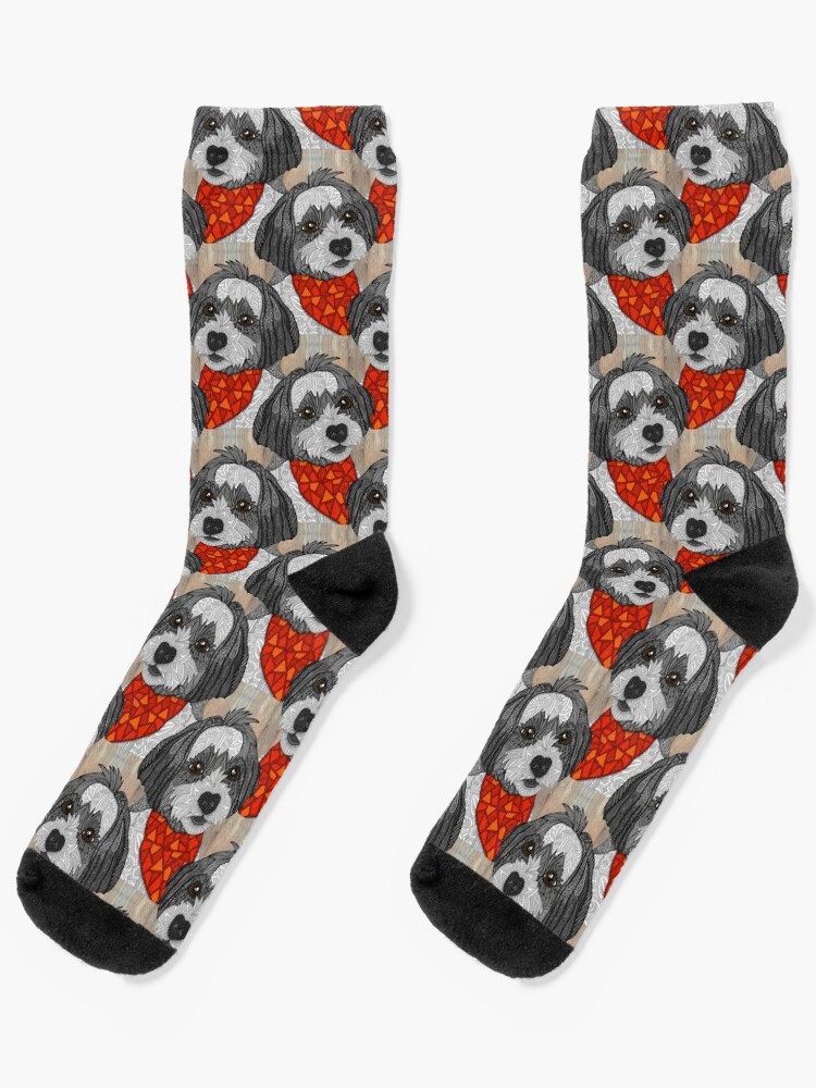Havanese Socks Havanese Socks