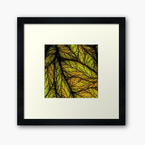 Rogues Gallery 6 Framed Art Print