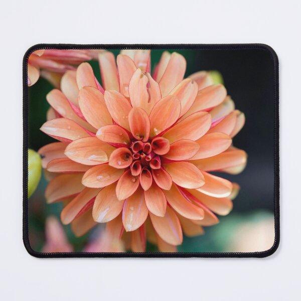 Item preview, Peach Flower designed and sold by sarahjeanphoto.