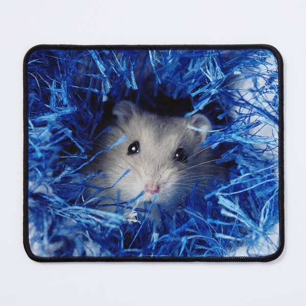 Item preview, Cute Hamster Hiding in Blue Wool designed and sold by cgroenewald.