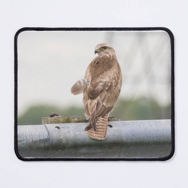 Item preview, Buzzard designed and sold by LaurenTucker.