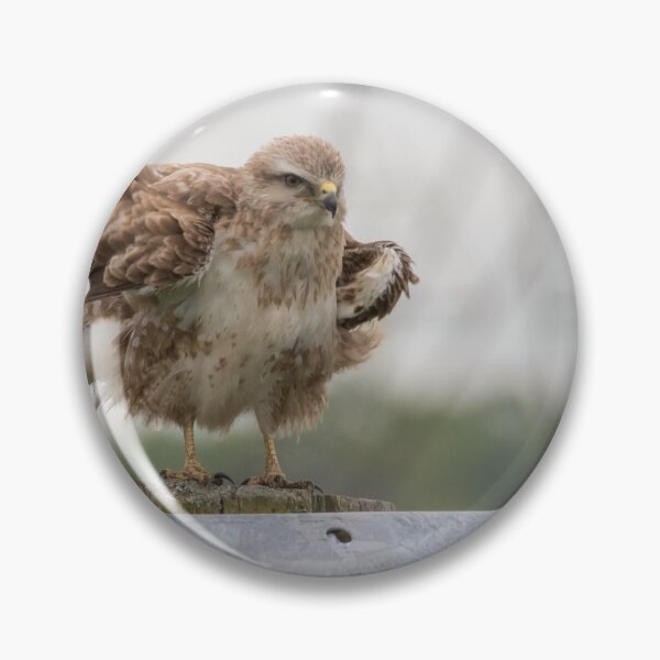 Item preview, Buzzard designed and sold by LaurenTucker.