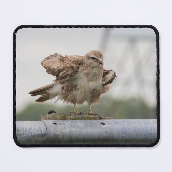 Item preview, Buzzard designed and sold by LaurenTucker.