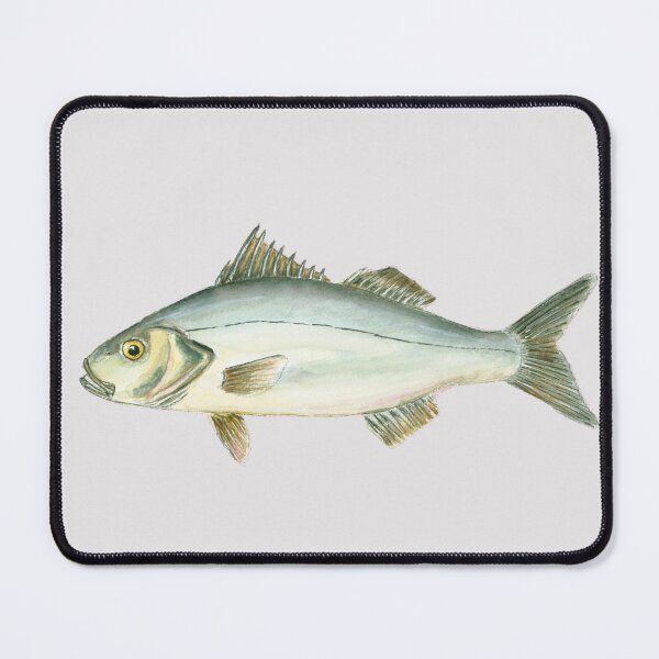 Item preview, Seabass (watercolour) designed and sold by Sarah Addy.