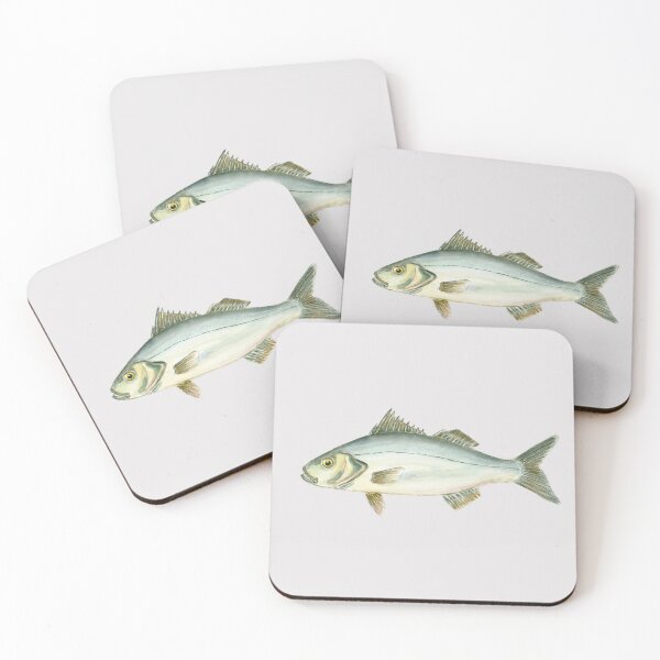 Item preview, Seabass (watercolour) designed and sold by Sarah Addy.