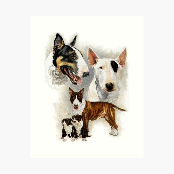 Bull Terrier Gallimaufry Art Print