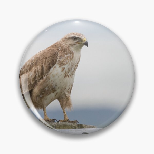 Item preview, Buzzard designed and sold by LaurenTucker.
