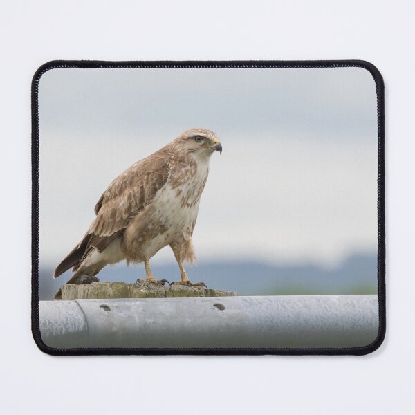 Item preview, Buzzard designed and sold by LaurenTucker.