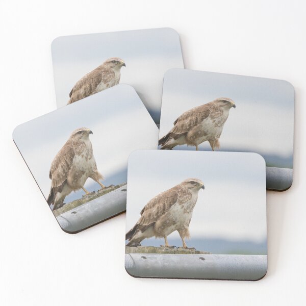 Item preview, Buzzard designed and sold by LaurenTucker.
