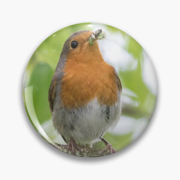 Item preview, Robin designed and sold by LaurenTucker.