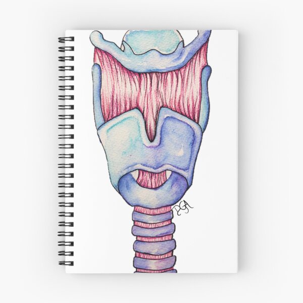 Item preview, Larynx Anatomy designed and sold by DanielaGaleanoA.
