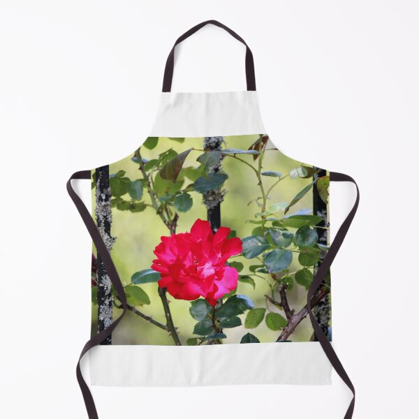 Item preview, Fence Red Rose designed and sold by Cynthia48.
