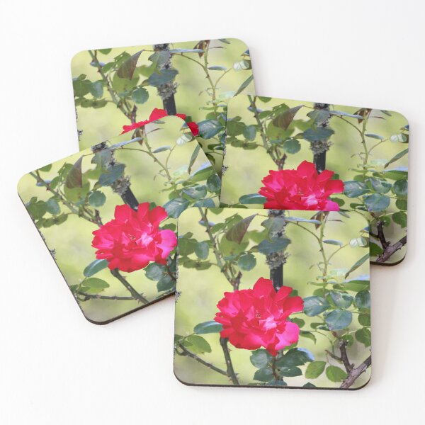 Item preview, Fence Red Rose designed and sold by Cynthia48.