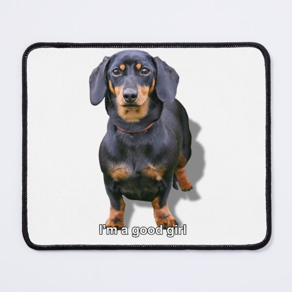 Item preview, Dachshund  designed and sold by Millysuewood.