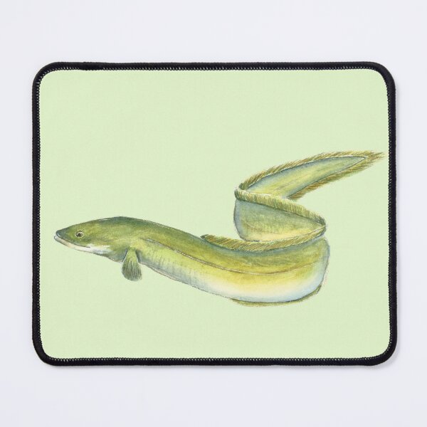 Item preview, European Eel (watercolour) designed and sold by Sarah Addy.