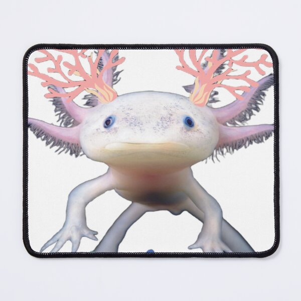 Item preview, Axie,Lotl,Water Dog,Mexican Walking Fish,Water  designed and sold by coldeyes.