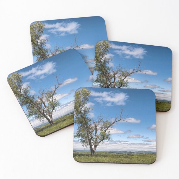 Item preview, Site For My Lottery Dream Home designed and sold by Jim Love.
