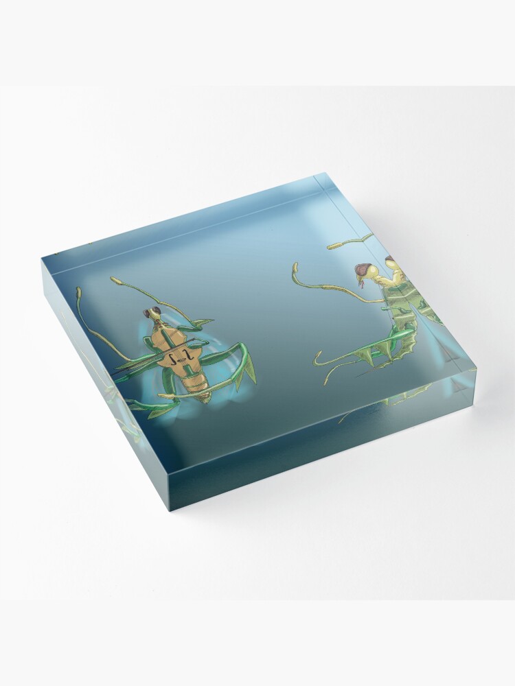 Thumbnail 3 of 5, Acrylic Block, Mantis viola da gamba X Y designed and sold by dj-KIR.