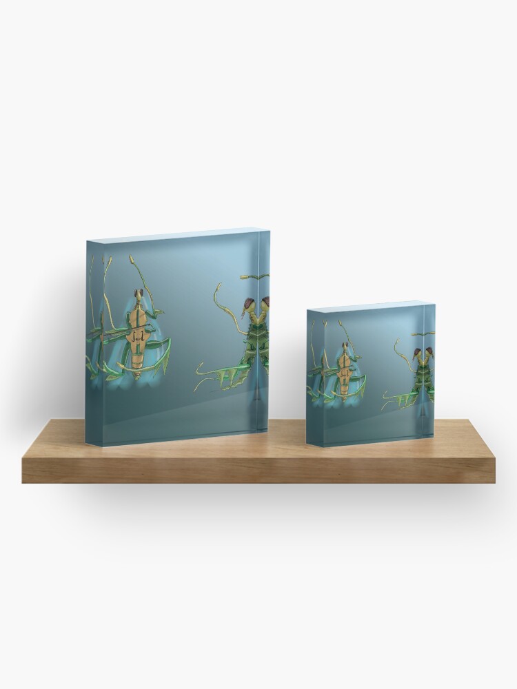Thumbnail 4 of 5, Acrylic Block, Mantis viola da gamba X Y designed and sold by dj-KIR.
