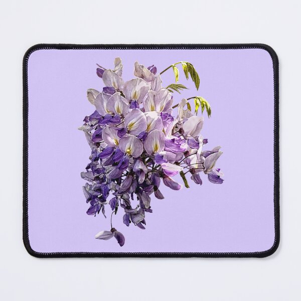 Item preview, Delicate Wisteria designed and sold by Susan Savad.