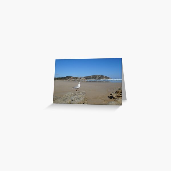 Item preview, Whisky Bay designed and sold by EimearMac.