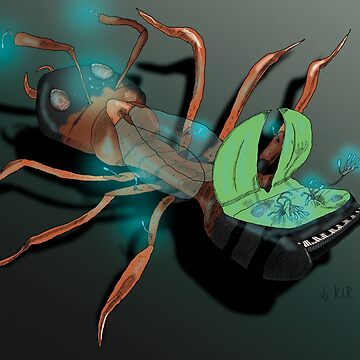 Artwork thumbnail, Formica metasoma pianoforte by dj-KIR