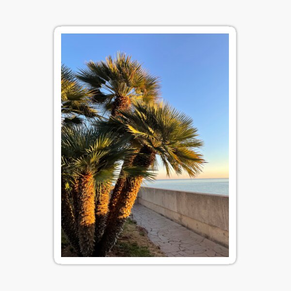 PALMTREES II MONACO by Monaco-Life.com Sticker