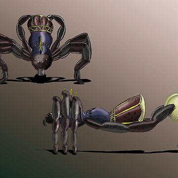 Artwork thumbnail, Araneus tymbanis X Y by dj-KIR