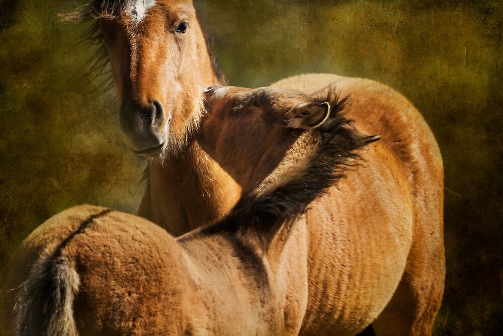 "Horsing Around No. 1 " By BelindaGreb | Redbubble