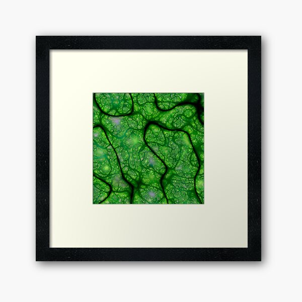 Rogues Gallery 8 Framed Art Print