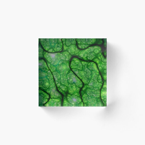 Rogues Gallery 8 Acrylic Block