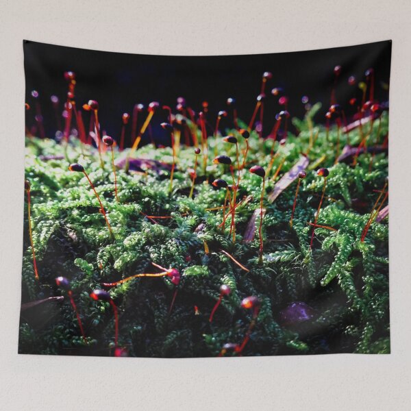 Item preview, Pacific Northwest: Sparkle Spores designed and sold by Chancelrie.