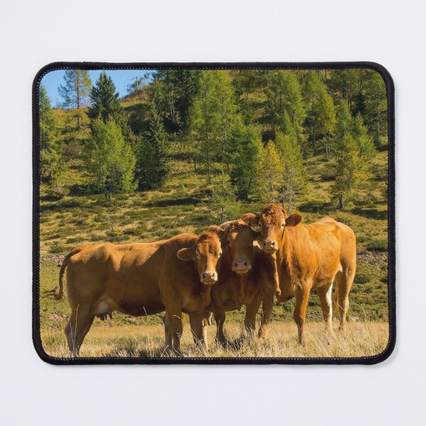 Item preview, Italian Alpine Cows designed and sold by jojobob.