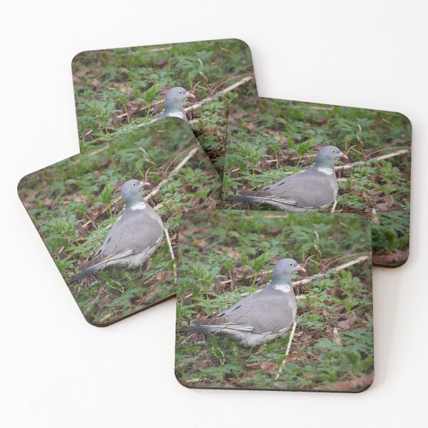 Item preview, Somewhere here I think. Woodpigeon designed and sold by Jouko Lehto Photography.